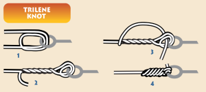 Image of fishing line and a hook with step-by-step instructions for tying a trilene knot